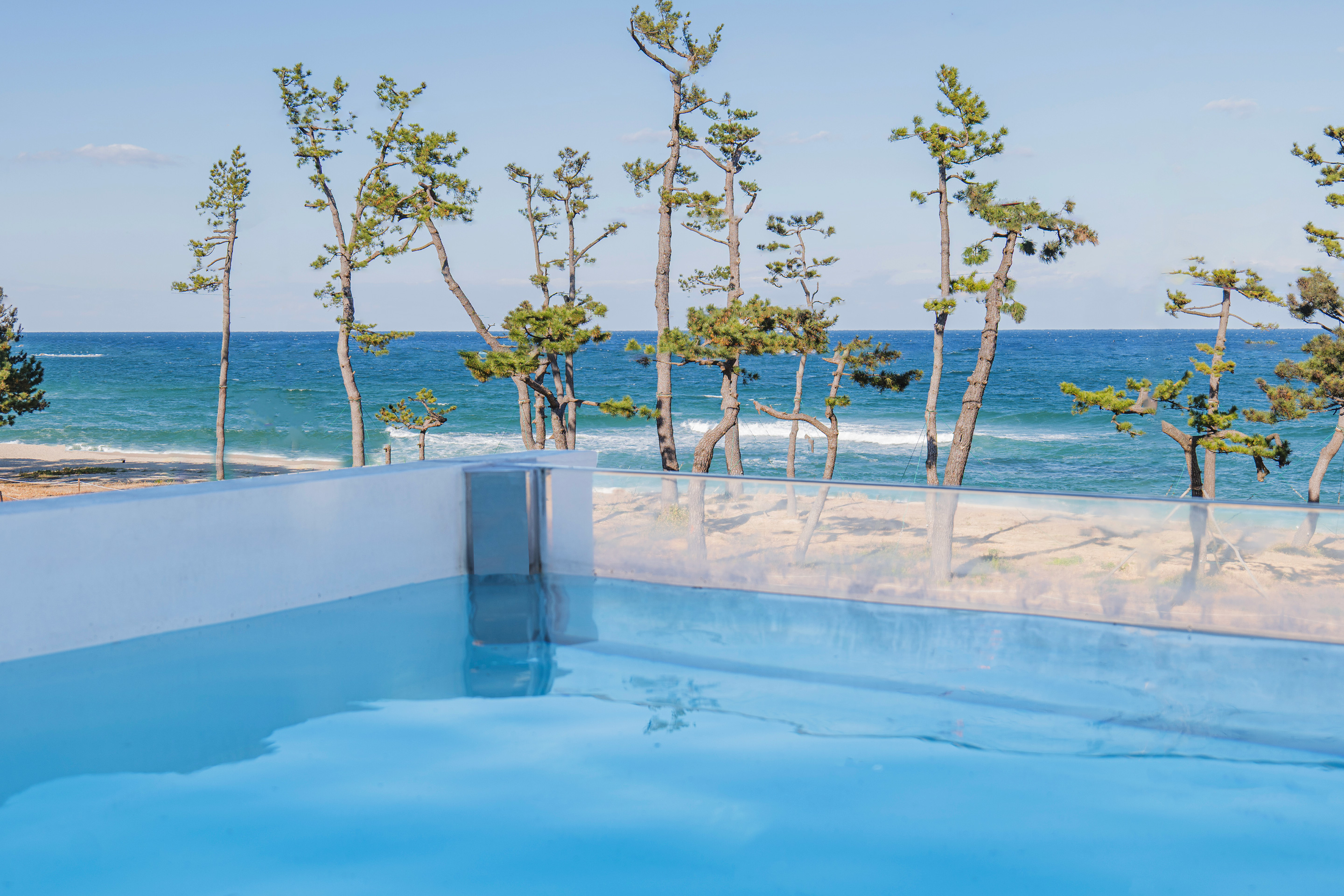 레드콩 미디엄 2606의 1F 가든 스위트