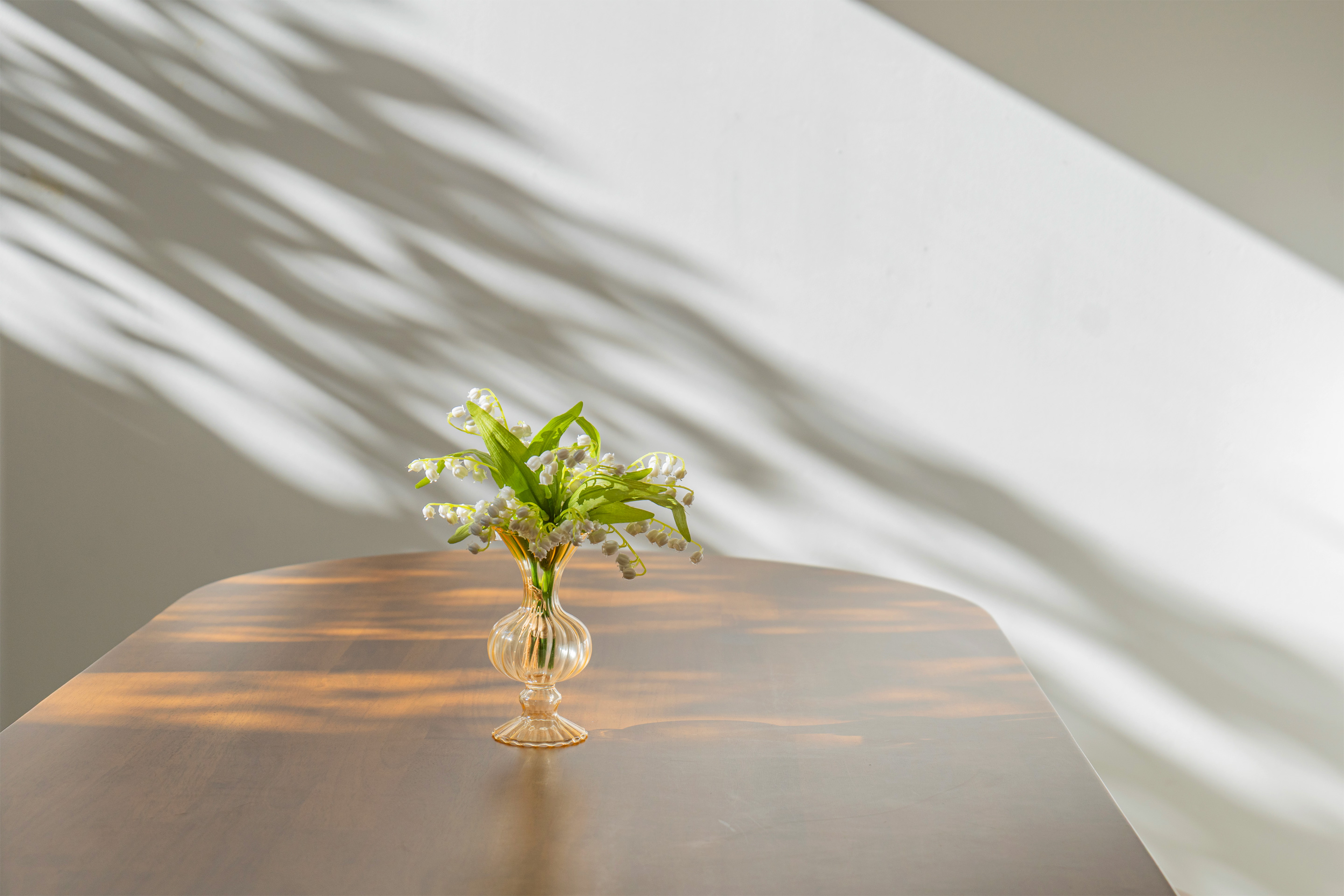 레드콩 미디엄 2606의 1F 가든 스위트