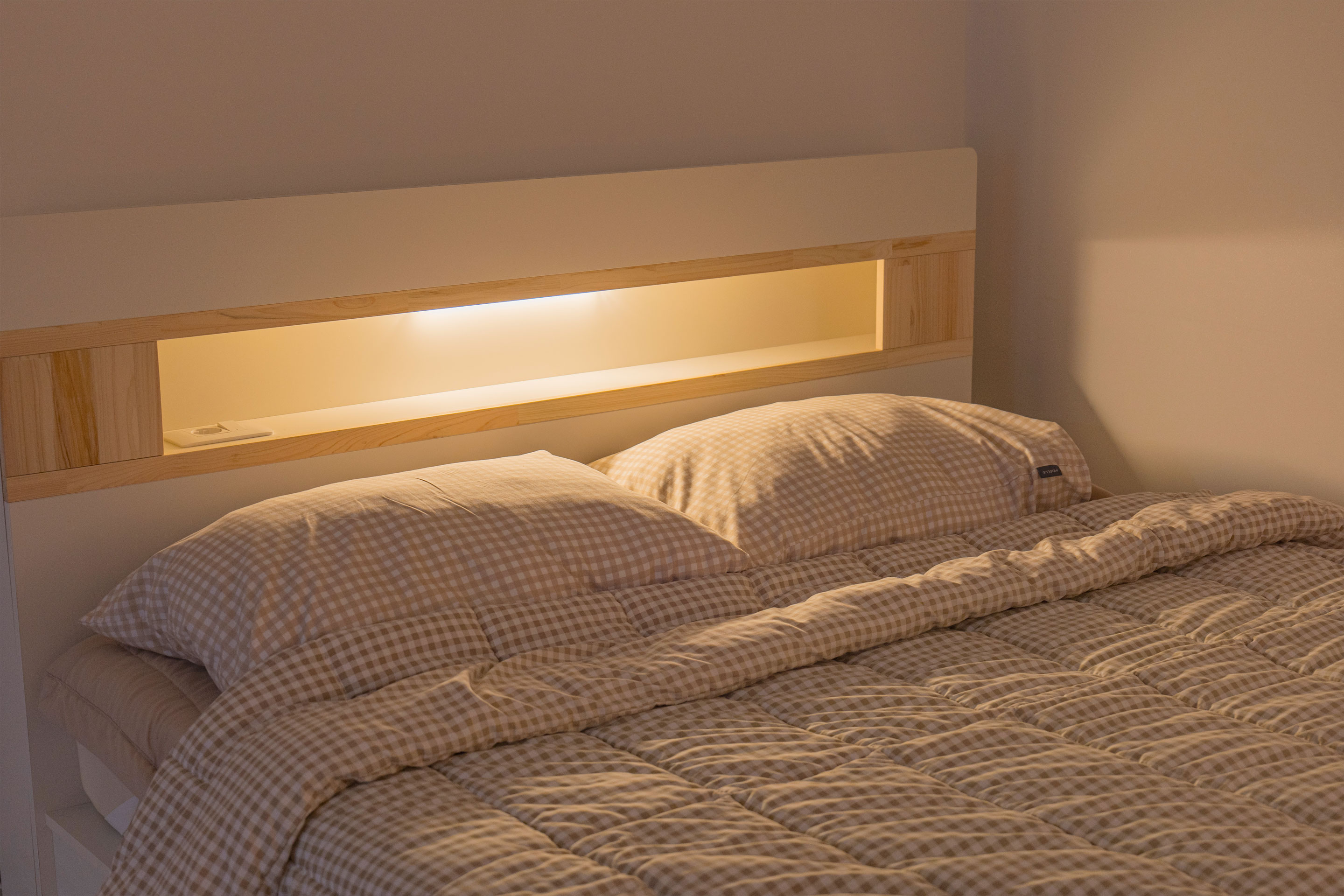 레드콩 미디엄의 101