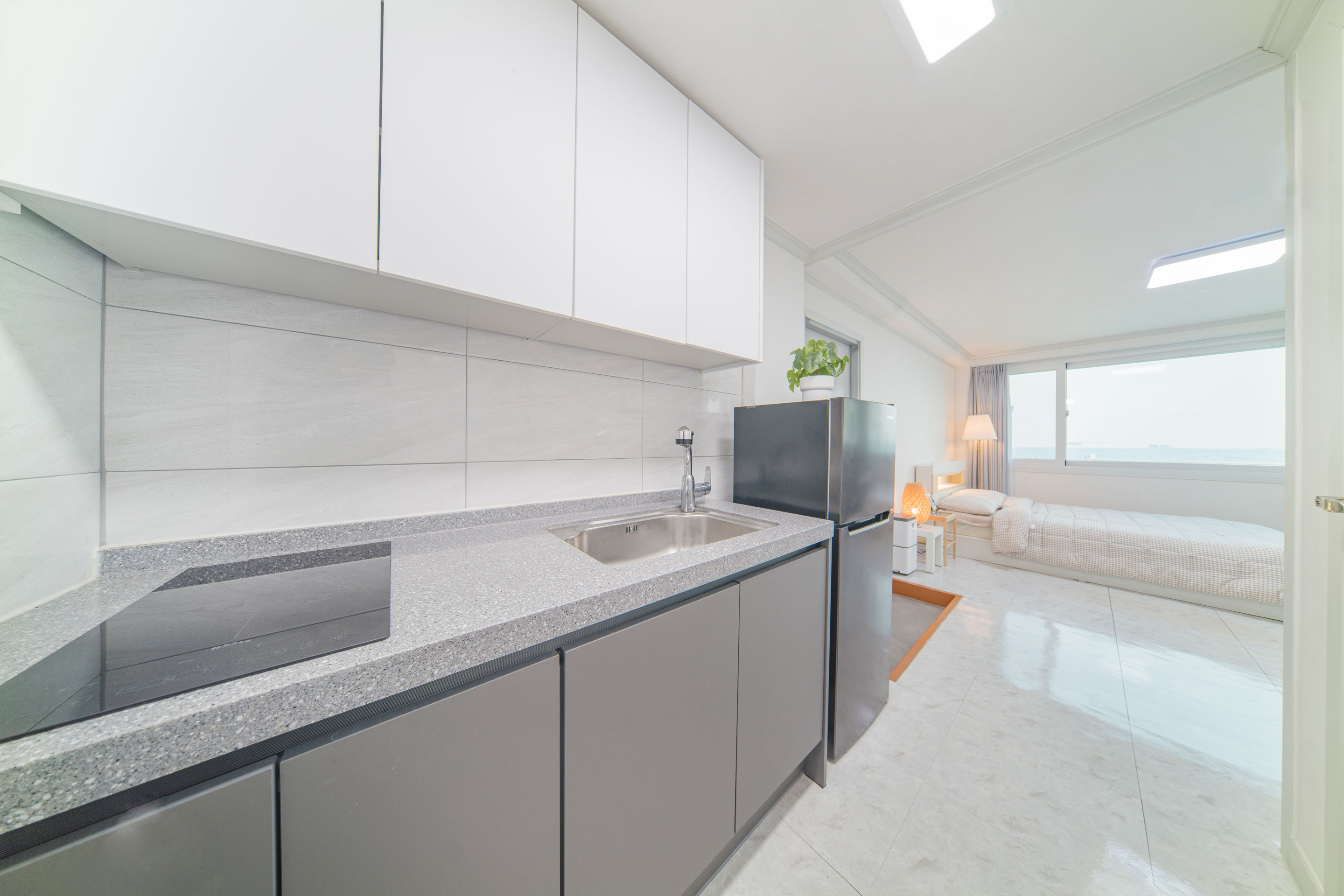 레드콩 미디엄의 102