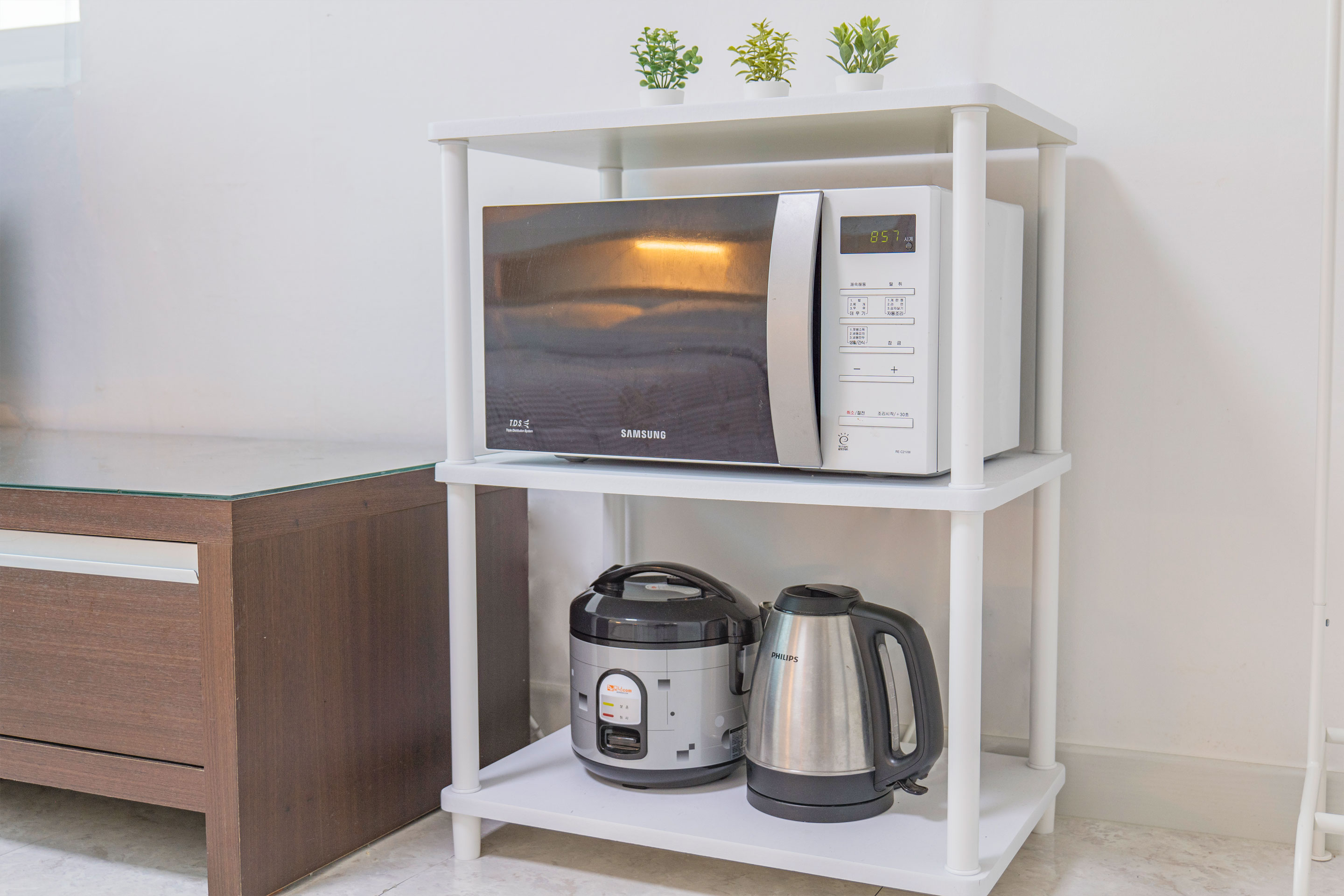 레드콩 미디엄의 102