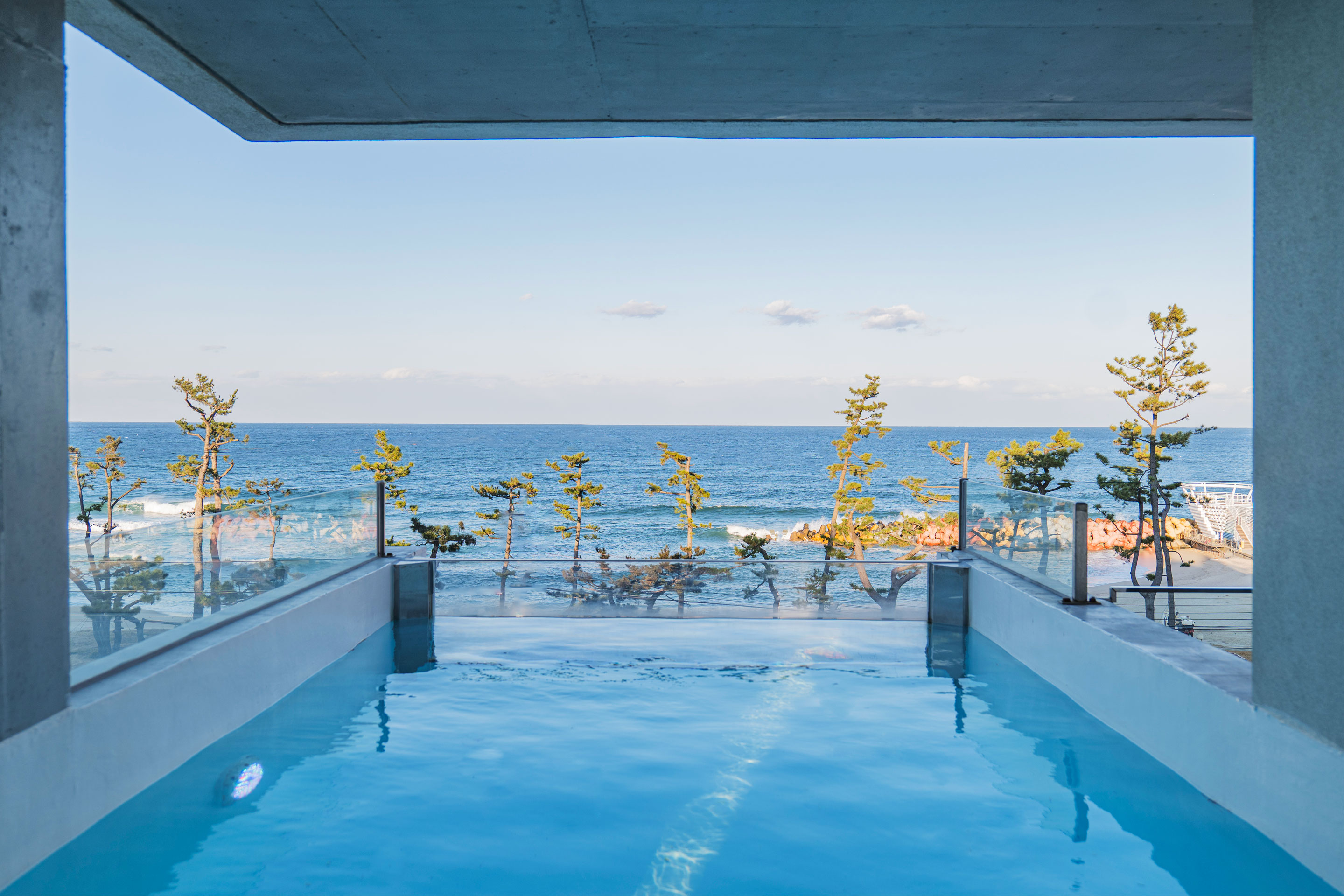 레드콩 미디엄 2606의 3F 웨이브 스위트