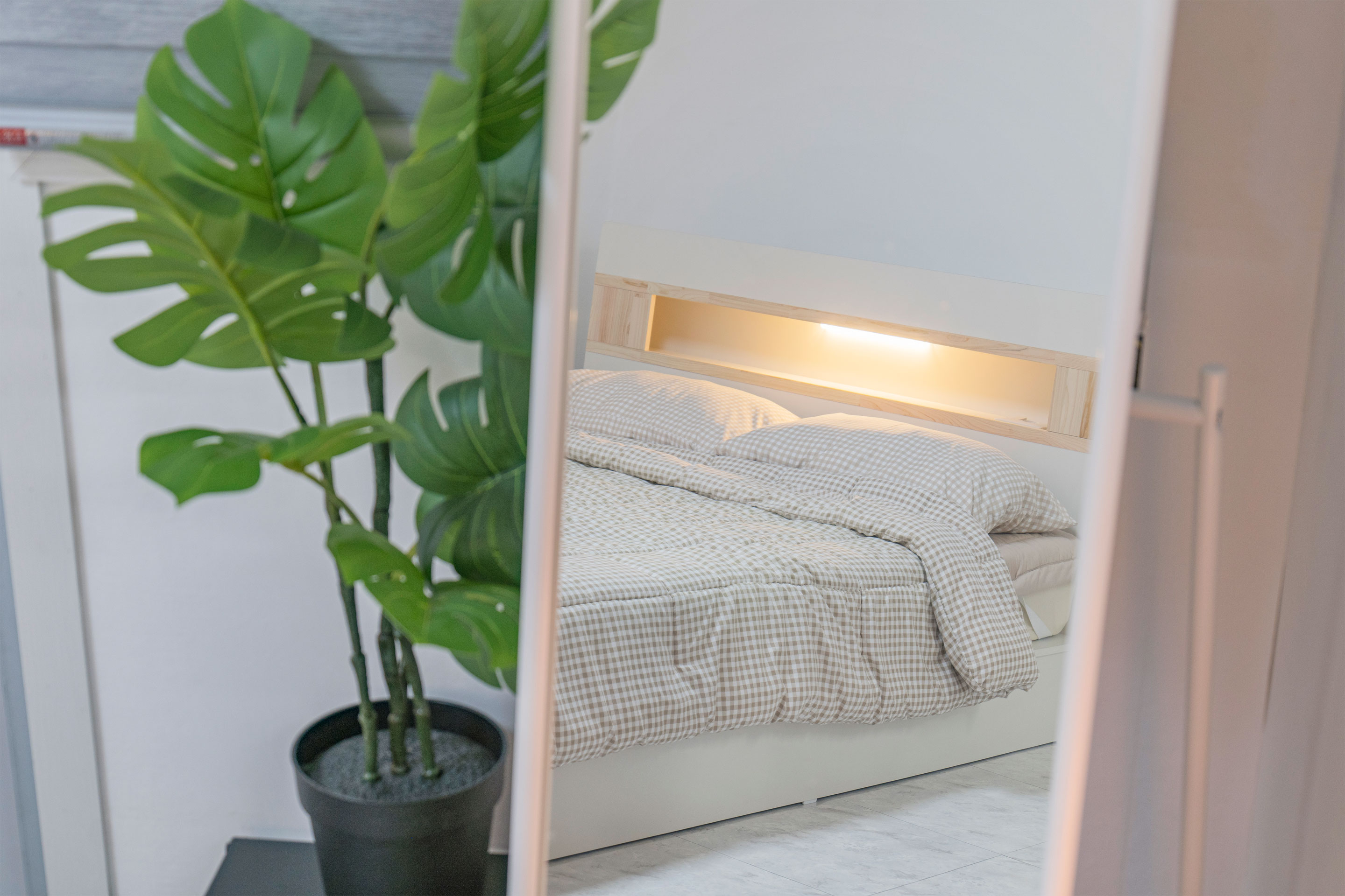 레드콩 미디엄의 103