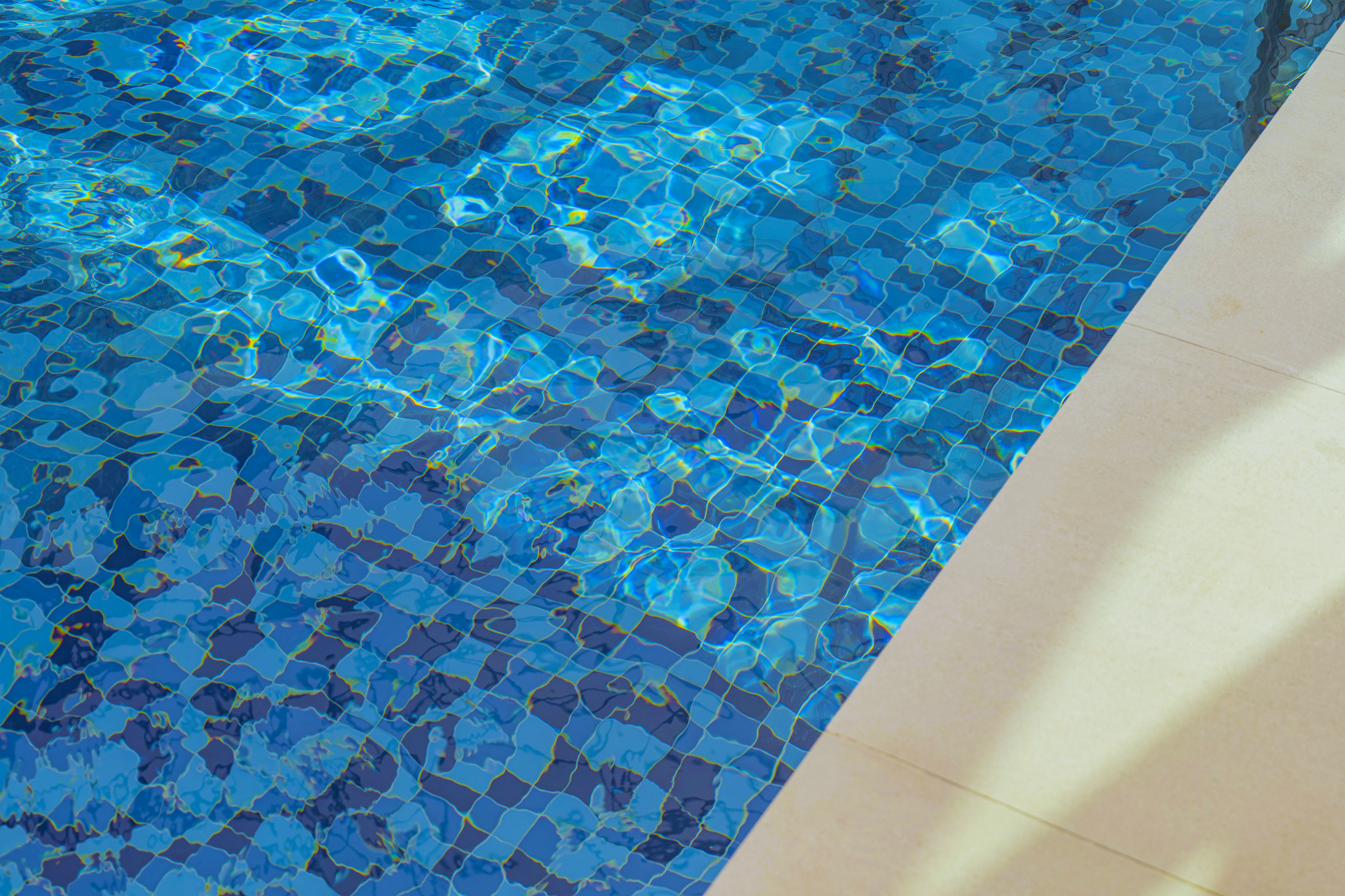 레드콩 미디엄의 야외수영장