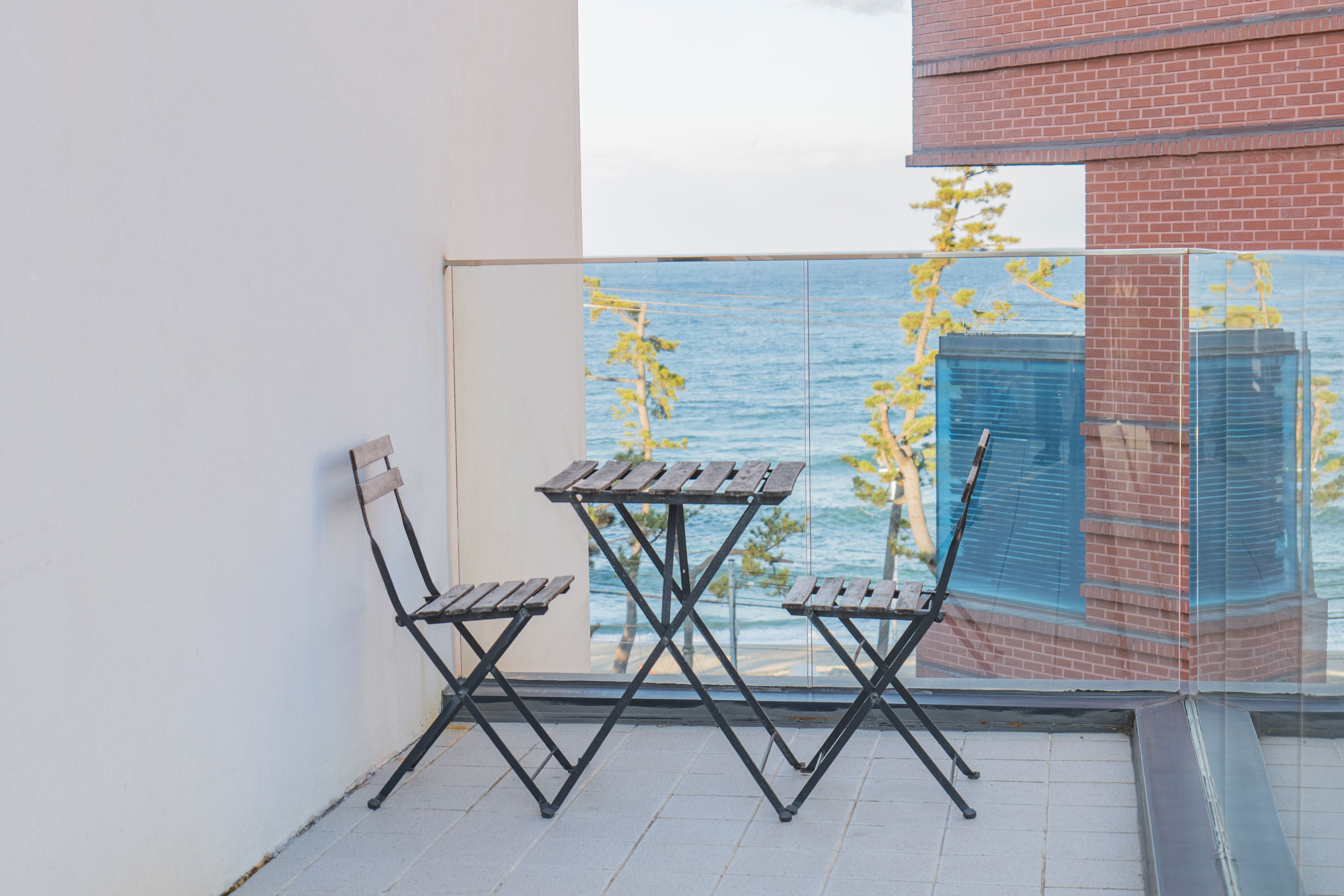 레드콩 미디엄 2606의 오션뷰