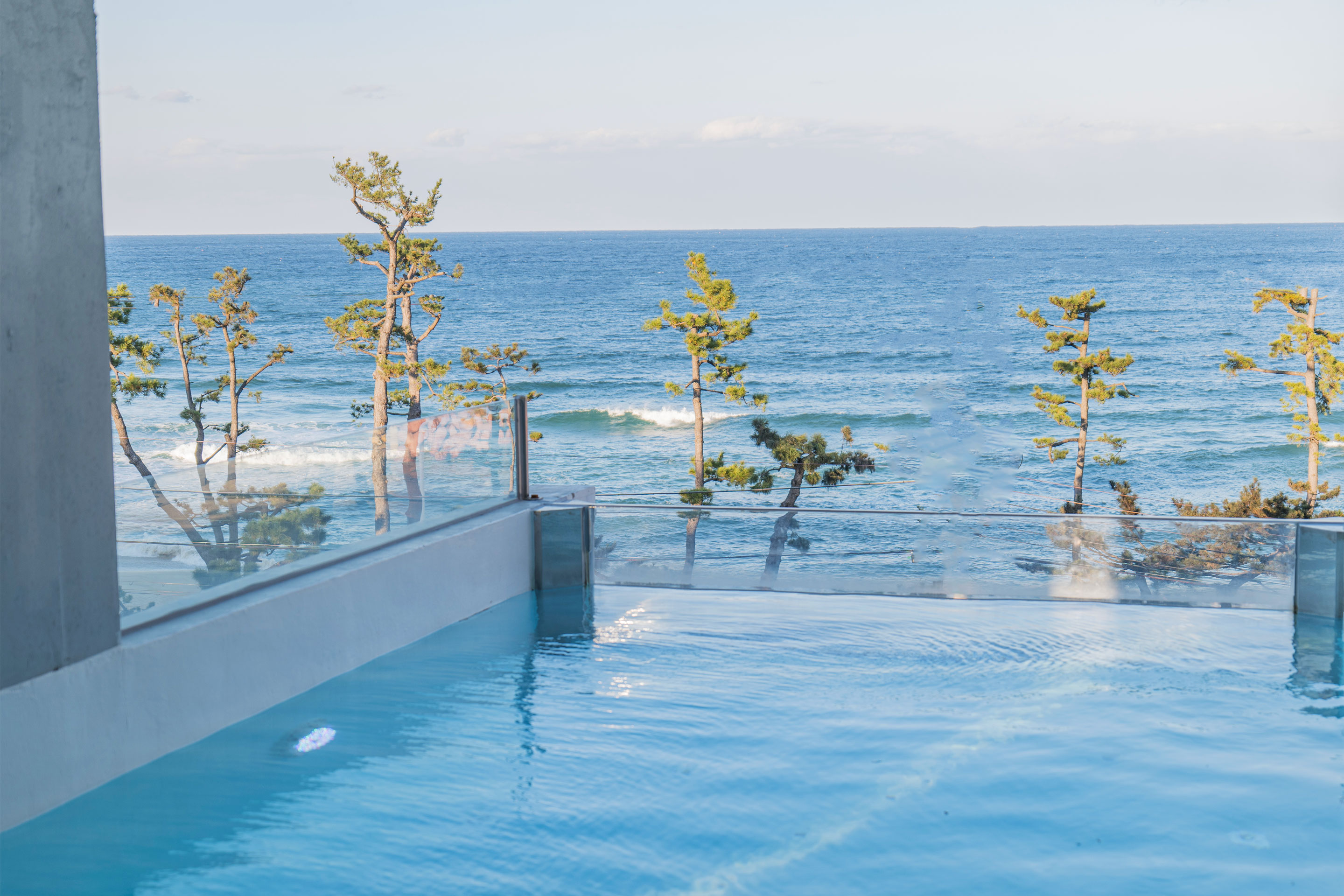 레드콩 미디엄 2606의 오션뷰